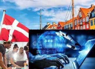 Danimarka’da Bilişim Sektöründe Çalışmak: İhtiyaçlar ve Yetenekler Danimarka’da Bilişim Sektöründe Çalışmak: İhtiyaçlar ve Yetenekler