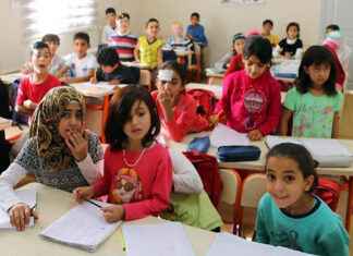 Danimarka’da Türk Göçmen Çocuklarının Eğitimi Danimarka’da Türk Göçmen Çocuklarının Eğitimi