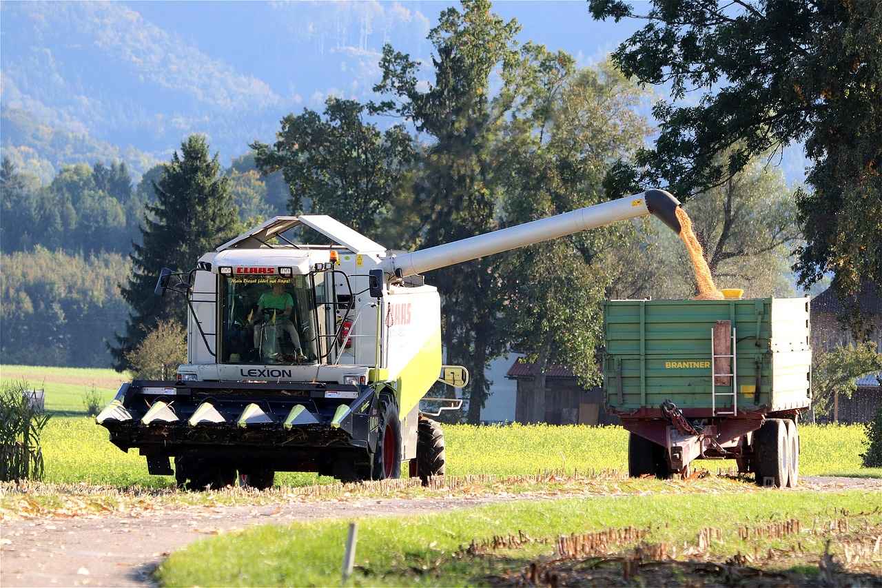 Danimarka Ekonomisinin Güçlü Yanları