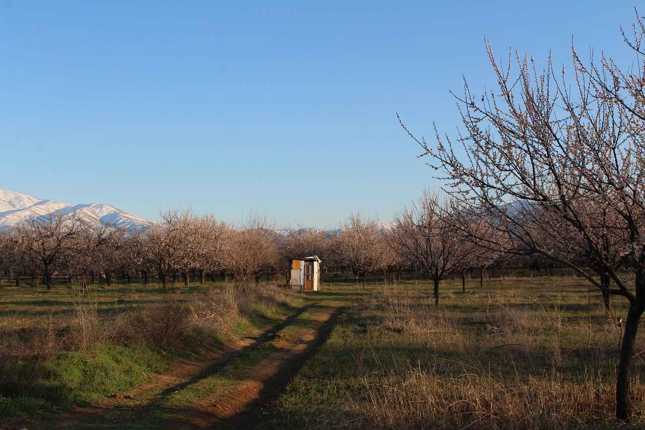 Danimarka Ekonomisinde Kobi’lerin Rolü: Küçük ve Orta Büyüklükteki İşletmelerin Gücü 4 Danimarka'da KOBİ Destekleme Politikaları