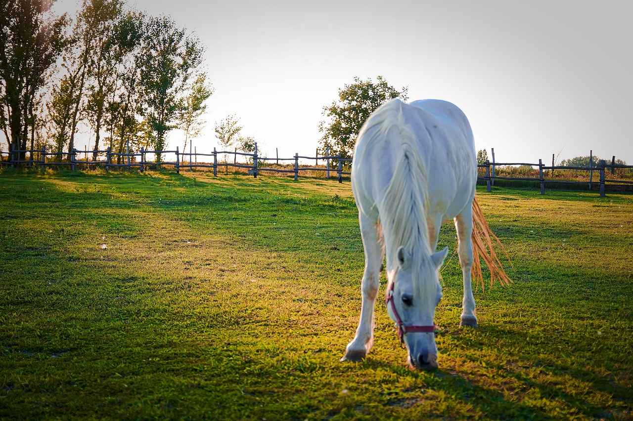 Danimarka Ekonomisinde Yenilikçi Yöntemler: Dijitalleşme ve Teknoloji Danimarka Ekonomisinde Yenilikçi Yöntemler: Dijitalleşme ve Teknoloji