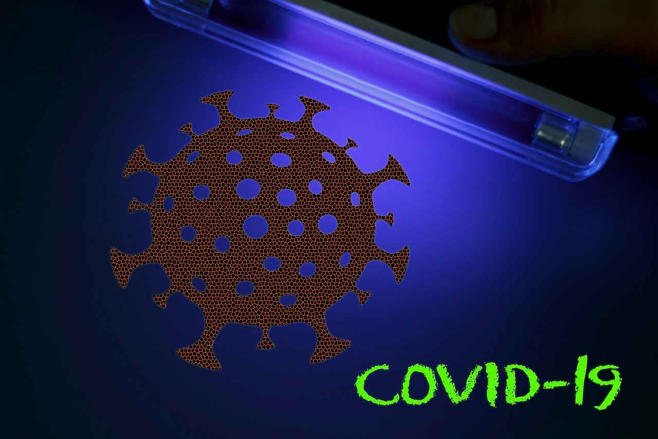 Danimarka Ekonomisinin Covid-19’a Yanıtı: Kriz Yönetimi ve Kurtarma Planları 3 Uzun Vadeli Ekonomik Etkiler