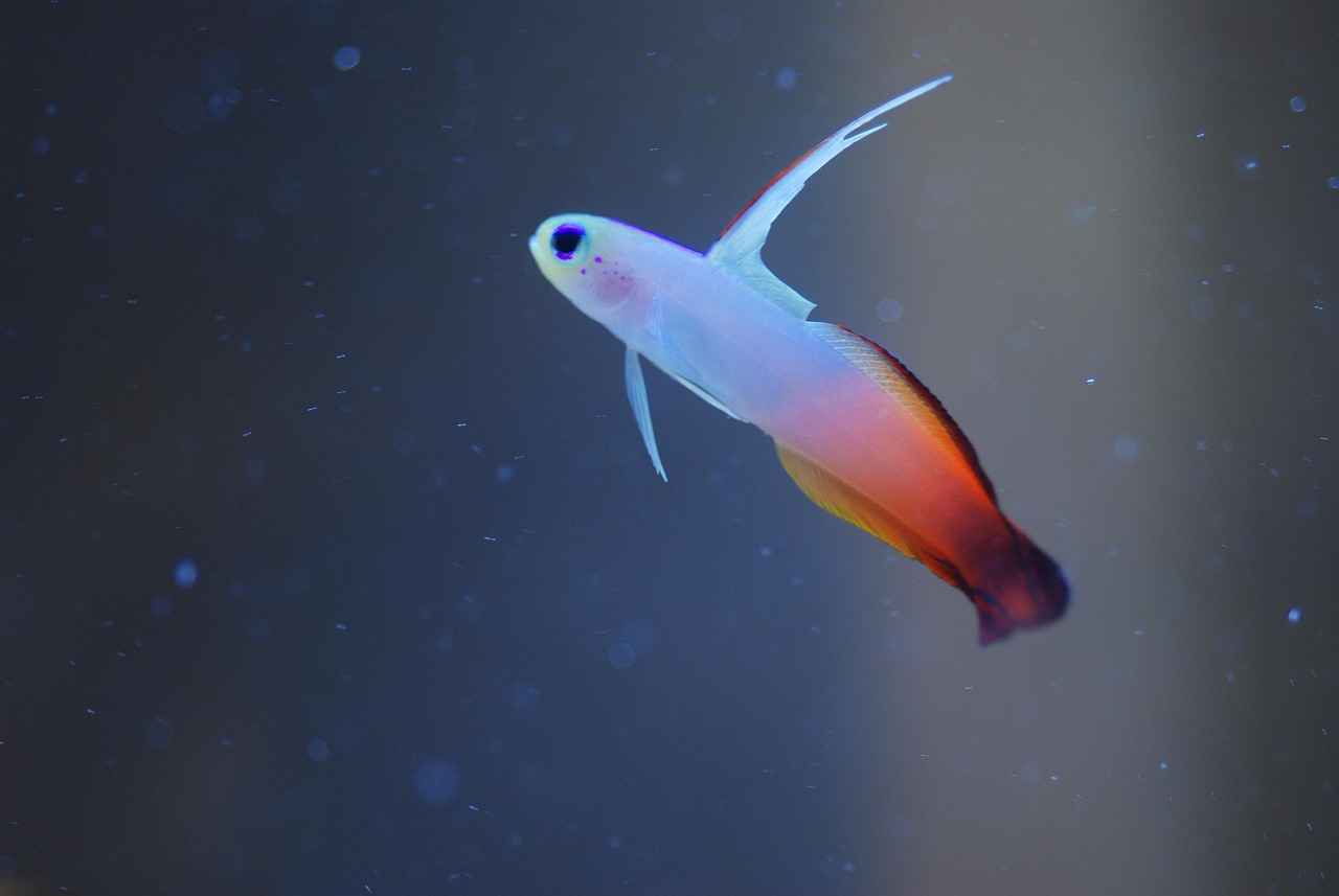 Danimarka Ekonomisinin Sağlık Sektörüne Etkisi: Yatırım ve İş Fırsatları Danimarka Ekonomisinin Sağlık Sektörüne Etkisi: Yatırım ve İş Fırsatları