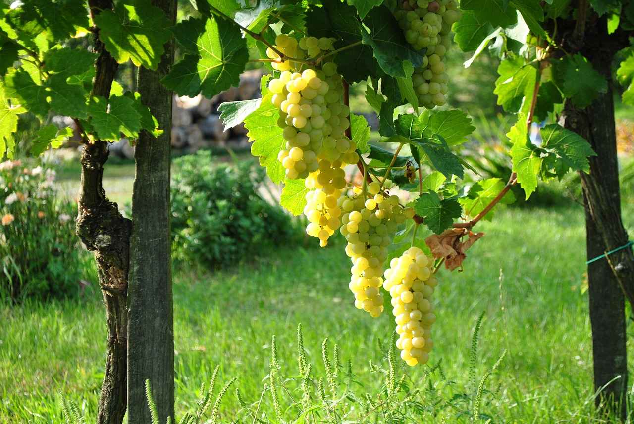 Danimarka Ekonomisinin Temelleri: Başarılı Bir Modelin Arkasında Ne Var? 3 Sürdürülebilir Ekonomi