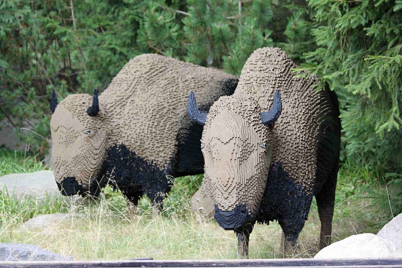 Billund: Eğlence ve Macera Dolu Bir Yer