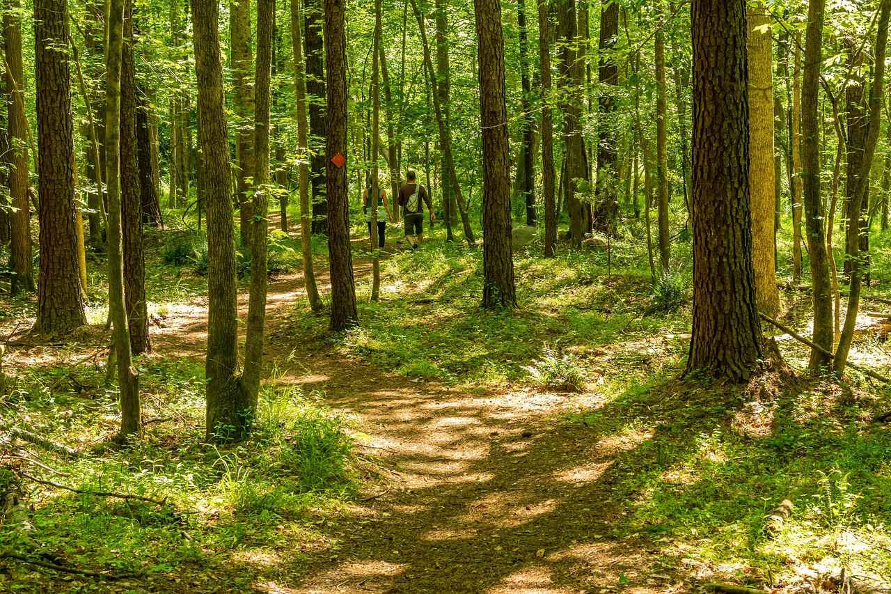 Kopenhag'da Alışveriş ve Gece Hayatı