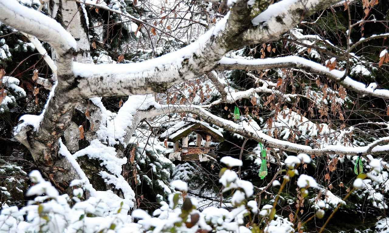 [Yaz Aylarında Danimarka]