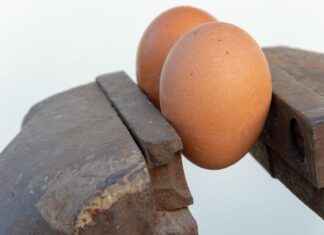 Danimarka Vizesi Alırken Dikkat Edilmesi Gereken Hatalar Danimarka Vizesi Alırken Dikkat Edilmesi Gereken Hatalar