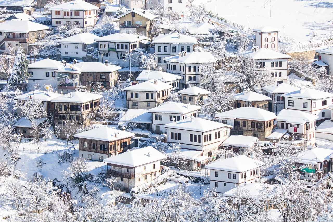 Sonuç: Danimarka Vizesi Başvurusunun Önemi