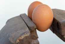 Danimarka Vizesi İçin Vize Başvuru Ücreti ve Ödeme Bilgileri Danimarka Vizesi İçin Vize Başvuru Ücreti ve Ödeme Bilgileri