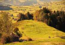 Danimarka Vizesi İle Seyahat Edecekler İçin Şehir Rehberi Danimarka Vizesi İle Seyahat Edecekler İçin Şehir Rehberi