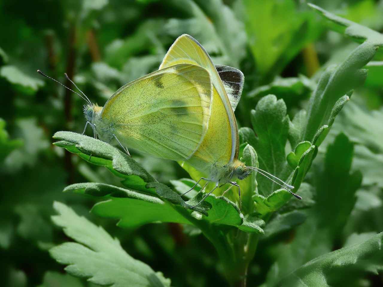 [Açık Hava Etkinlikleri ve Doğa Yürüyüşleri]