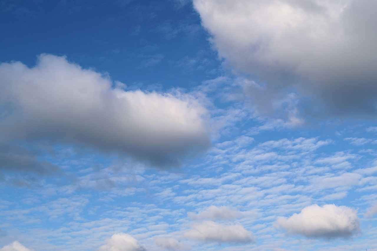 Danimarka’da Bilişim Sektöründe Çalışmak: İhtiyaçlar ve Yetenekler 2 Gerekli Yetenekler