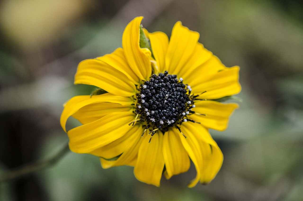 Danimarka'da Eğitim Almanın Avantajları