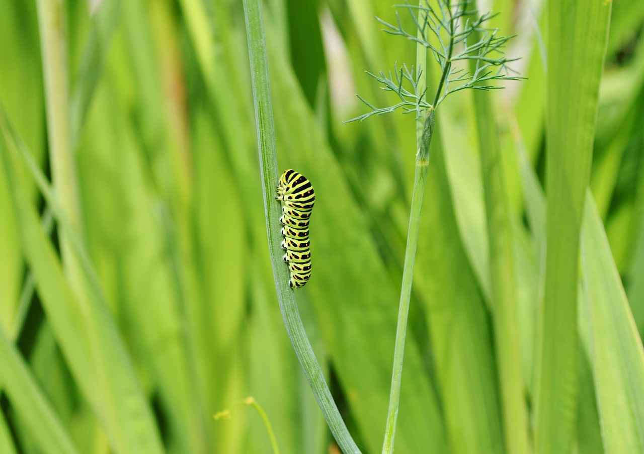 Danimarka’da Çalışırken Yabancı Dil Öğrenmenin Yararları 3 Kişisel Gelişim