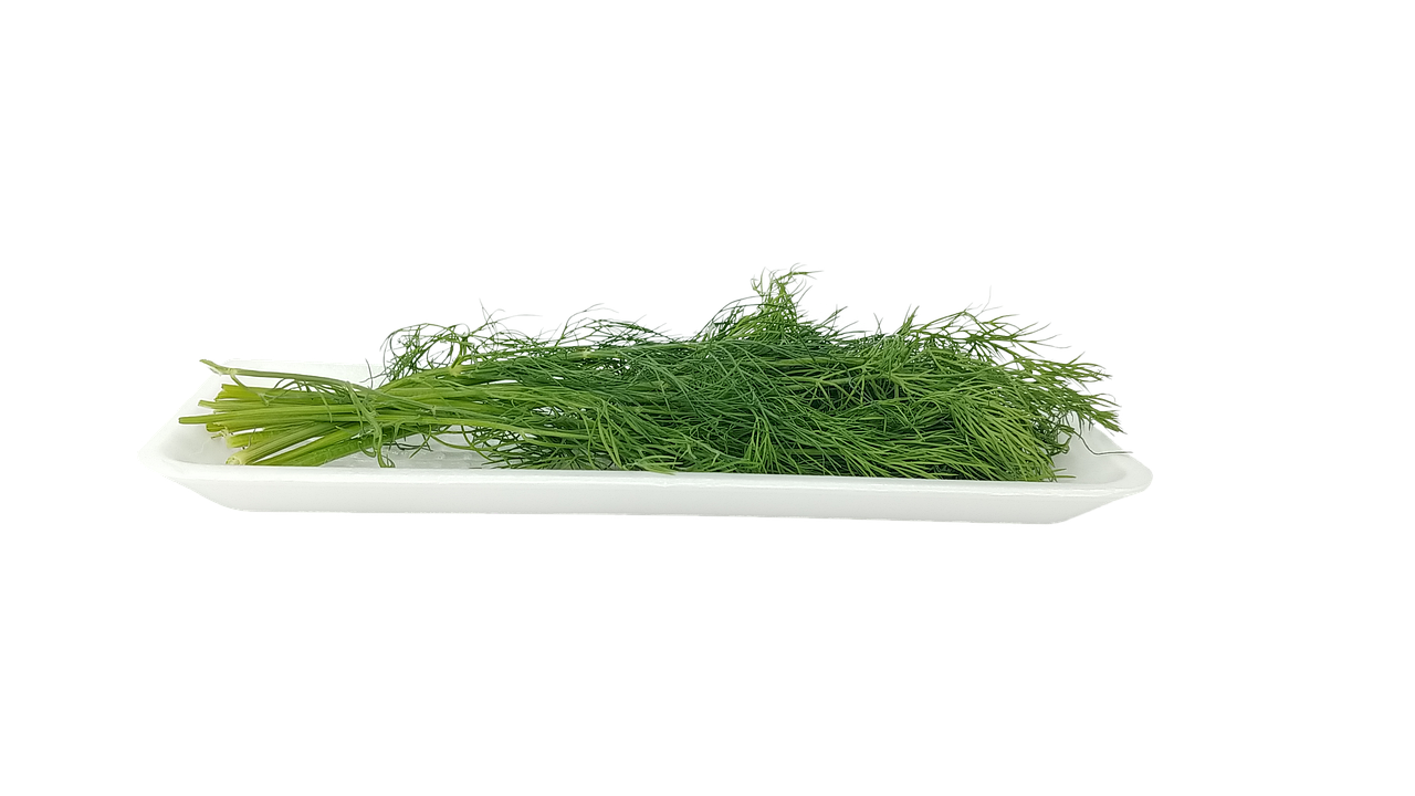 Danimarka'da Yaşam ve Kültür