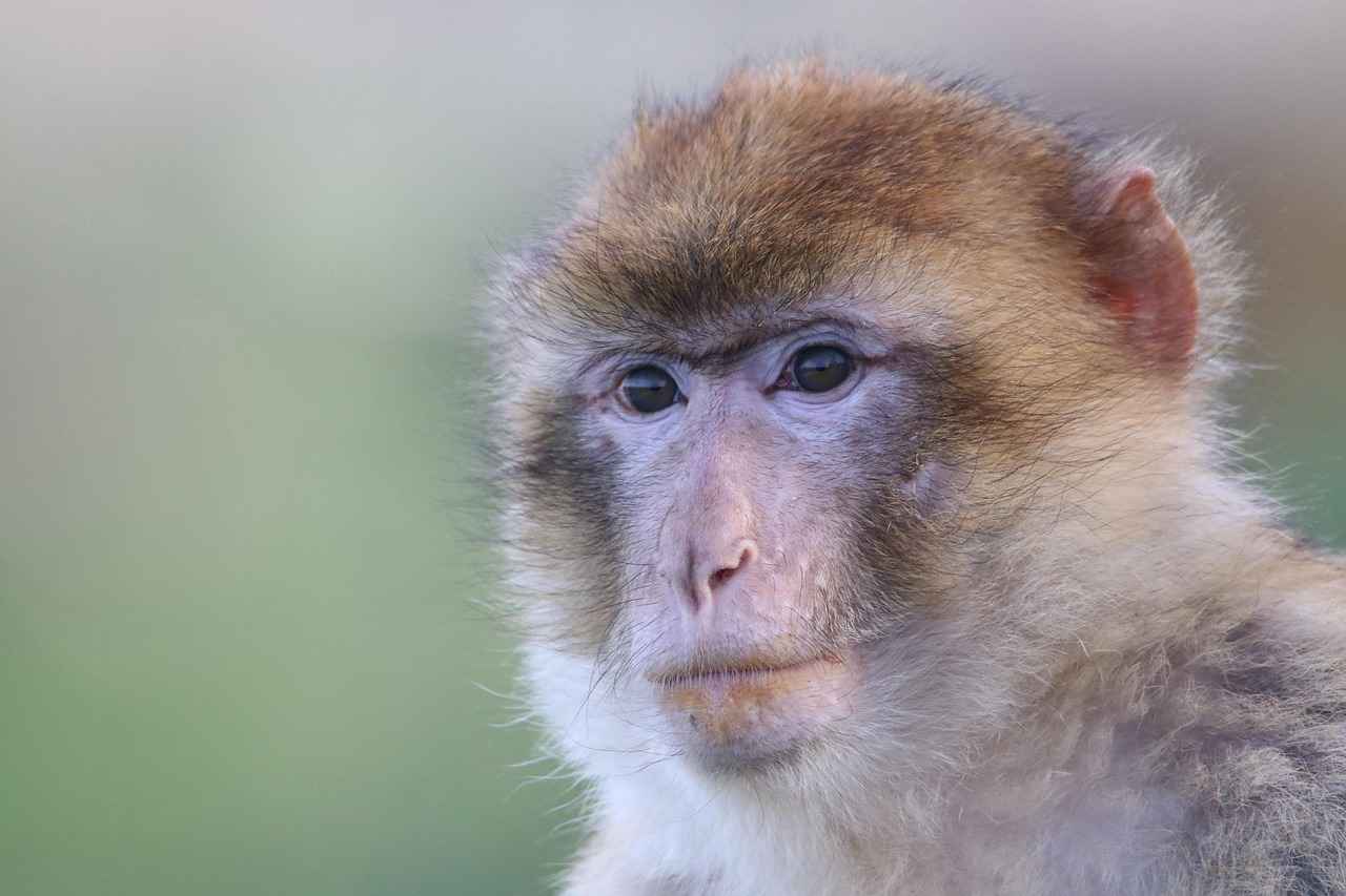 Kültürel Deneyim ve Kişisel Gelişim