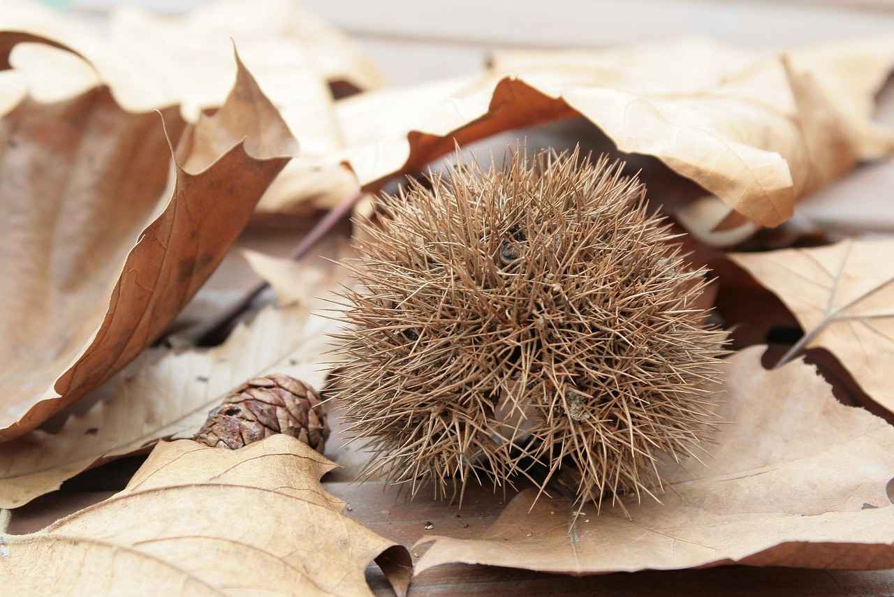 [Burs ve Destek İmkanları]
