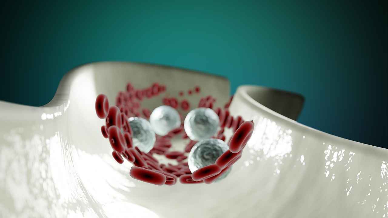 Danimarka'da Eğitim Sistemi: Neler Bilmelisiniz? 2 Okul Öncesi Eğitim