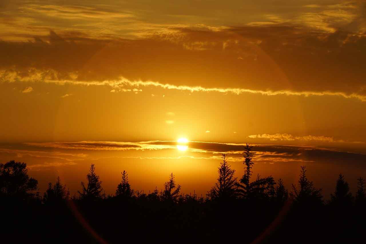 Odense'de Gece Eğlencesi