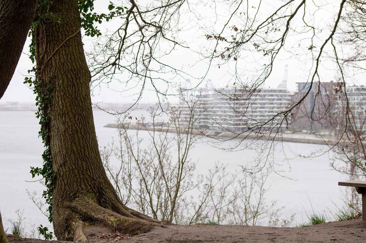 Aarhus’un Kültürel Zenginlikleri