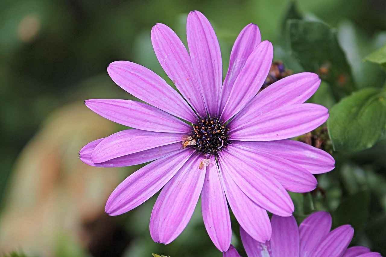 6. Bornholm Adası Plajları