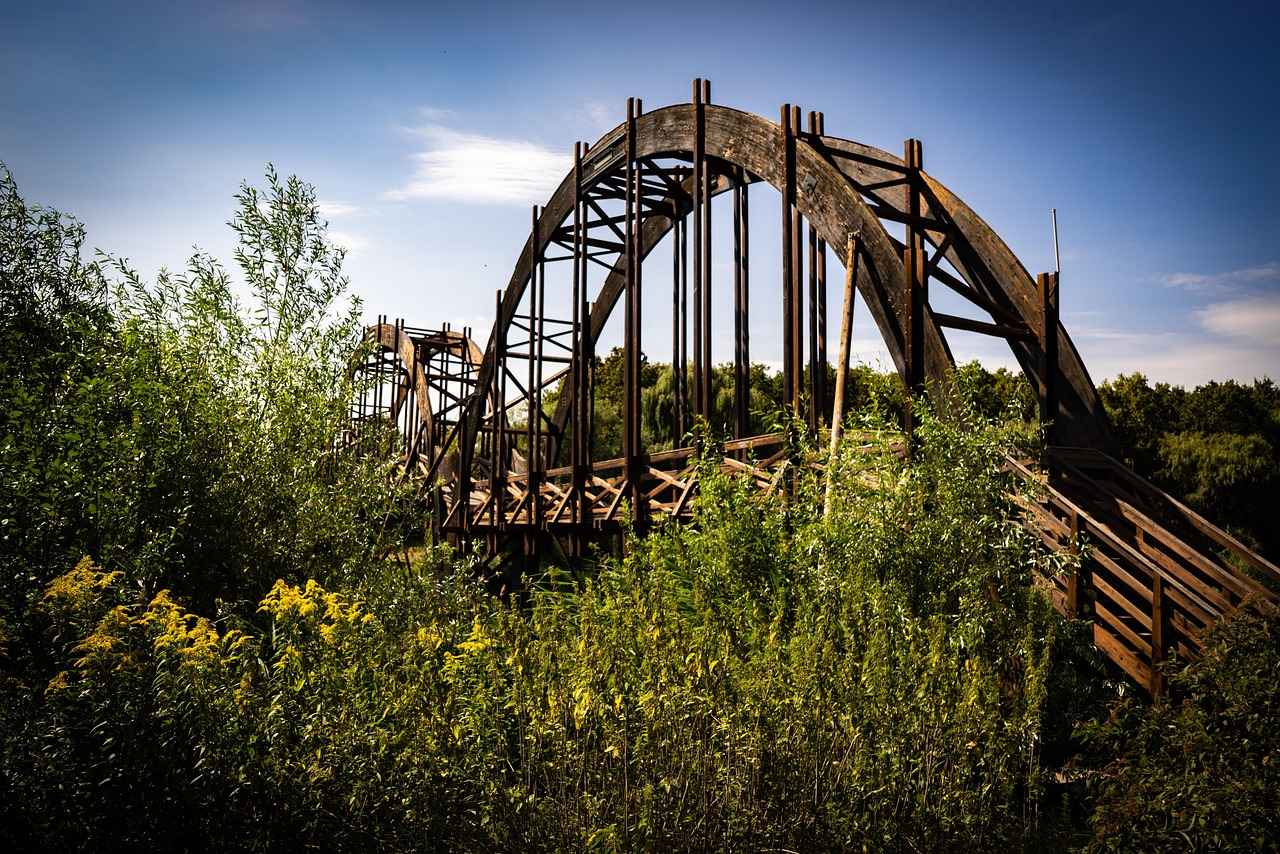 [Kış: Büyülü Bir Atmosfer]