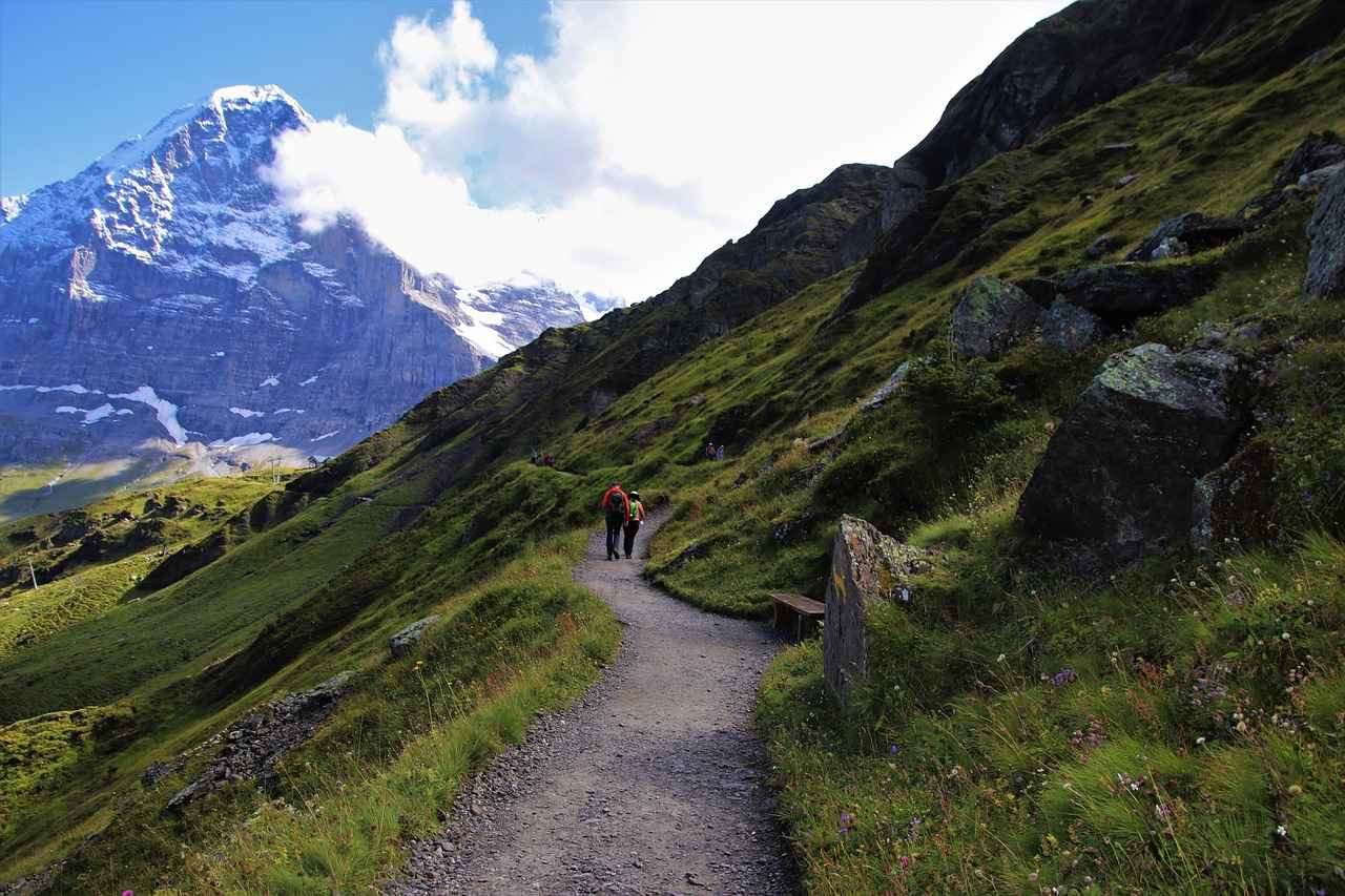 Çin Bahçesi: Tarihi ve Kültürel Önemi