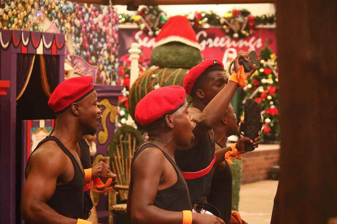 Kültürel Çeşitlilik ve Danimarka