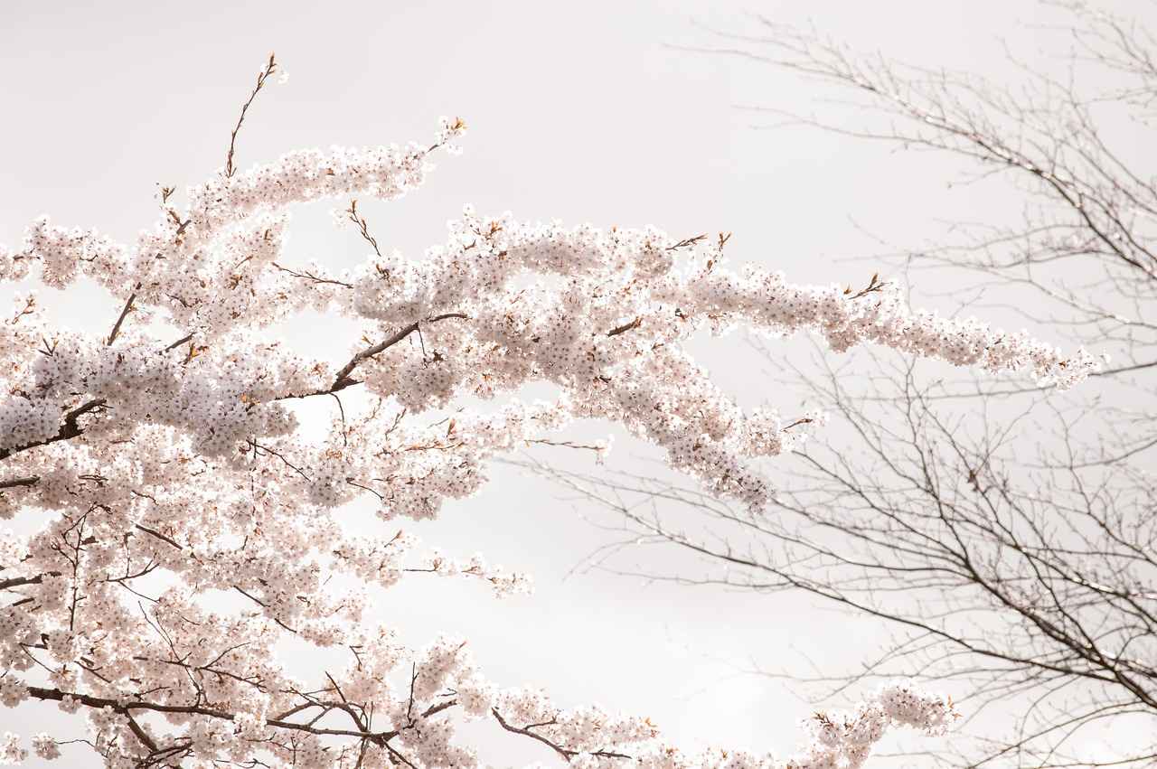 Aarhus: Kültürel Deneyimler