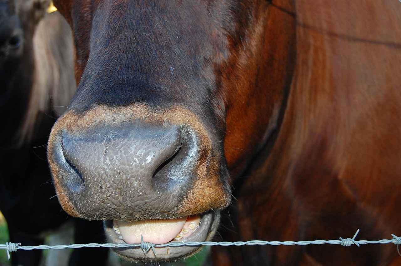 Danimarka’da İş Arayanlar İçin Online Platformlar ve Araçlar 5 5. Danimarka'da İş Bulma Stratejileri