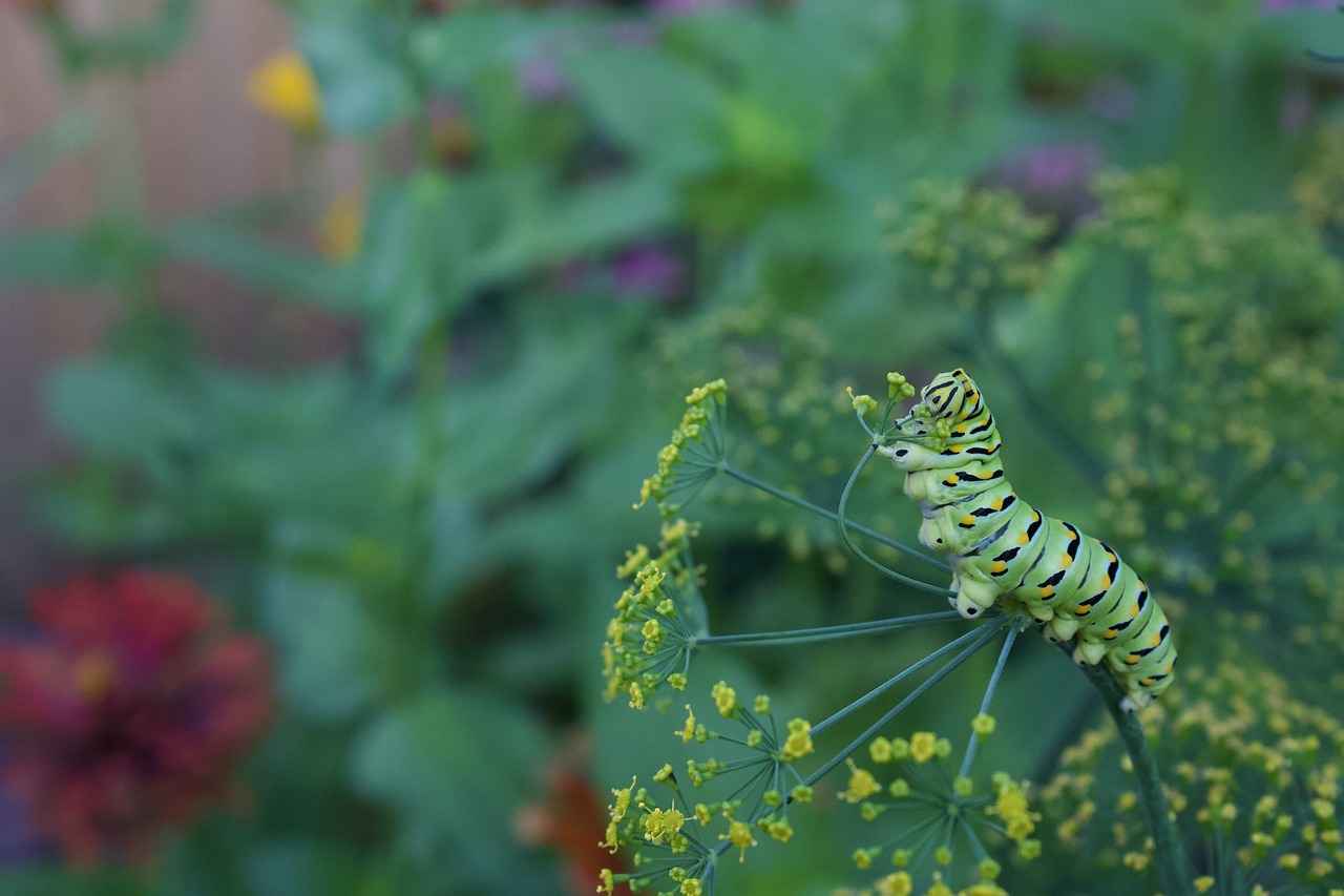 Danimarka’da İş Hayatında Karşılaşılan Zorluklar ve Çözümleri 2 Kültürel Farklılıklar ve Uyumsuzluk
