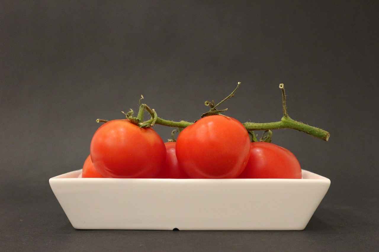 Yeşil Enerji ve Sürdürülebilirlik