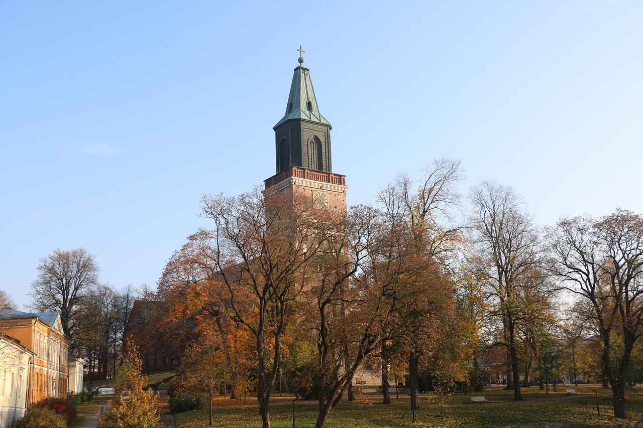 Başarı Hikayeleri ve İlham Verici Örnekler