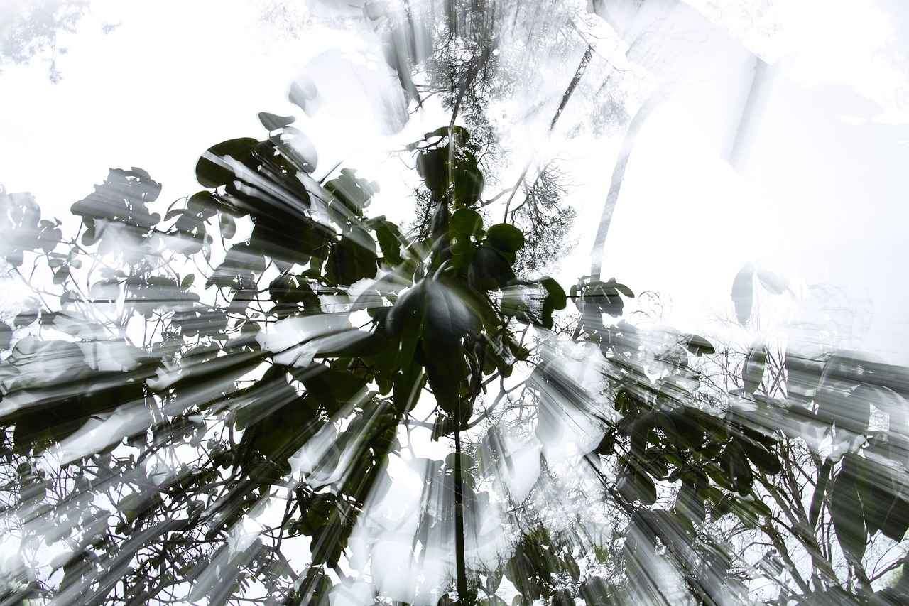 Yeme İçme Kültürü