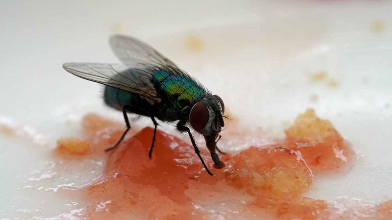 Sonuç: Danimarka’da Başarılı Bir Kariyer İçin İpuçları