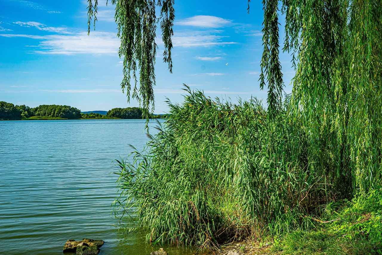 Danimarka’da Kışın Seyahat İçin İpuçları