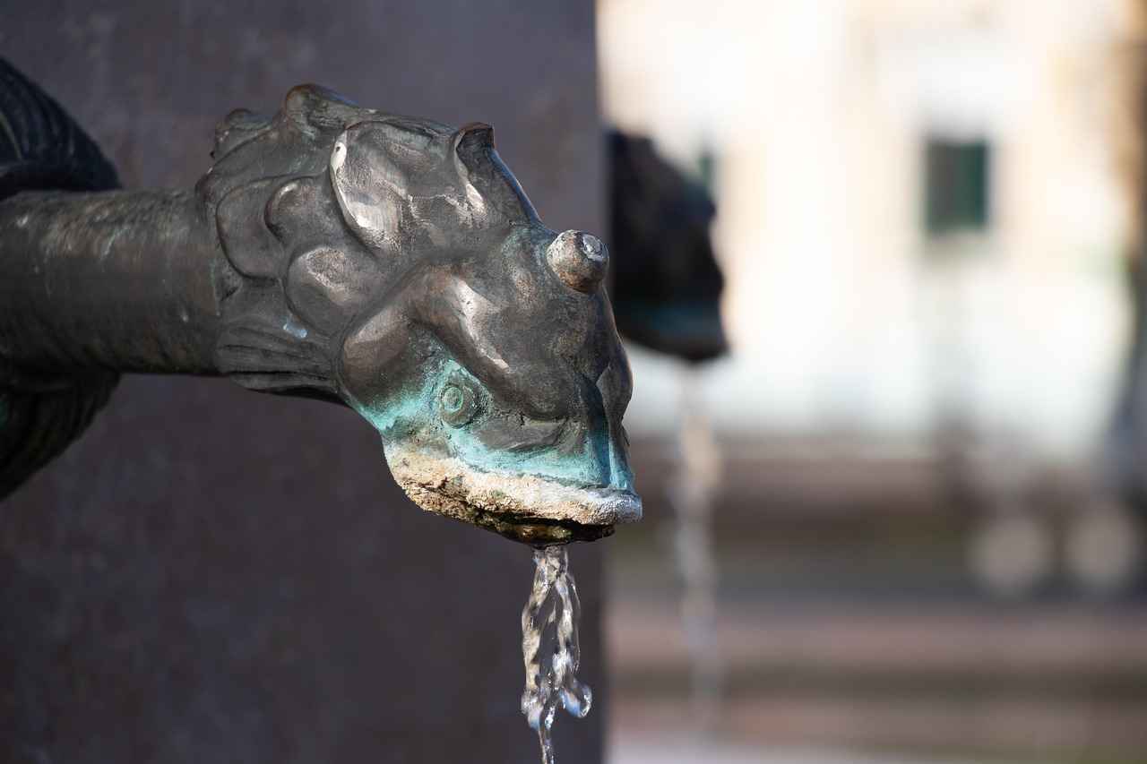 Danimarka Öğrenci Vizesi Başvuru Süreci