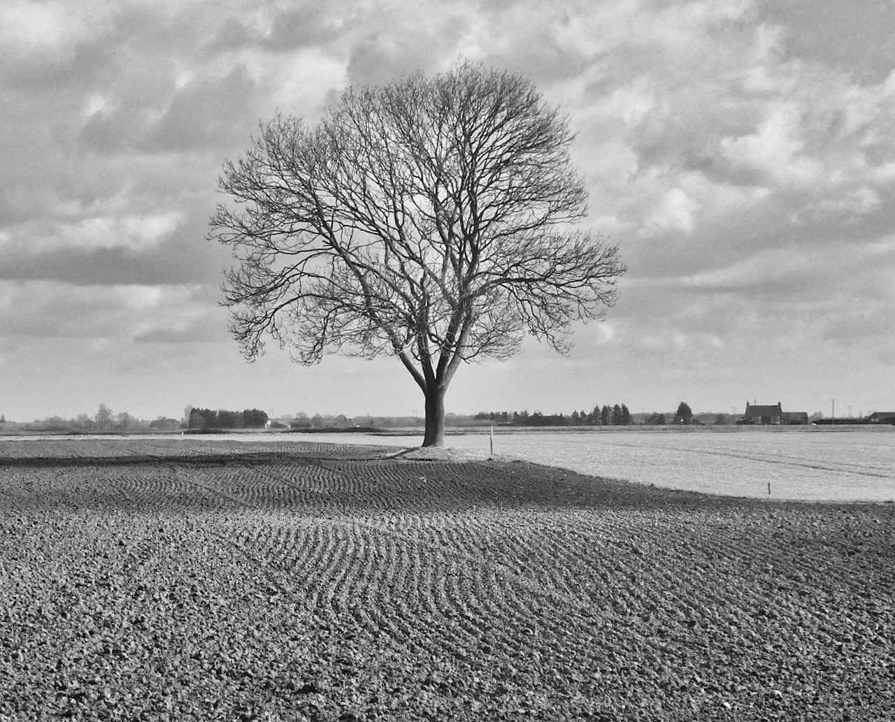 Danimarka’da Öğrenciler İçin Uygun Fiyatlı Eğitim Kaynakları 4 Yerel Eğitim Kurumlarının Sunmuş Olduğu İmkanlar