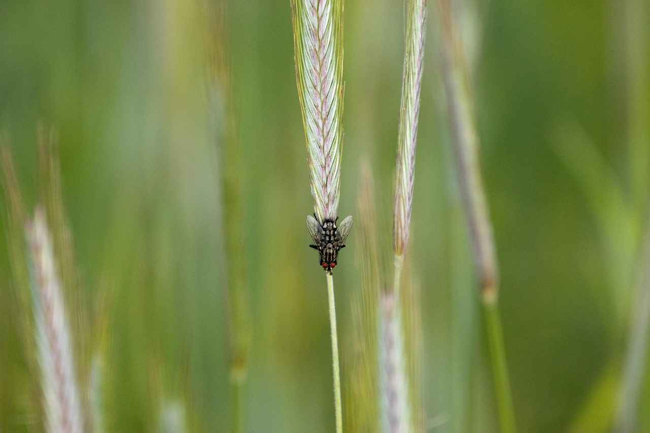 Danimarka’da Öğrencilere Yönelik İpuçları ve Rehber Danimarka'da Öğrencilere Yönelik İpuçları ve Rehber