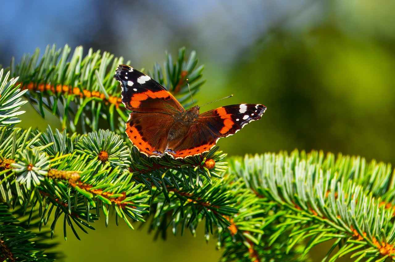 Danimarka’da Okul Seçimi Yaparken Göz Önünde Bulundurmanız Gerekenler 1 Eğitim Sistemi ve Müfredat
