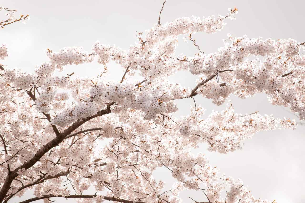 En İyi Alışveriş Bölgeleri