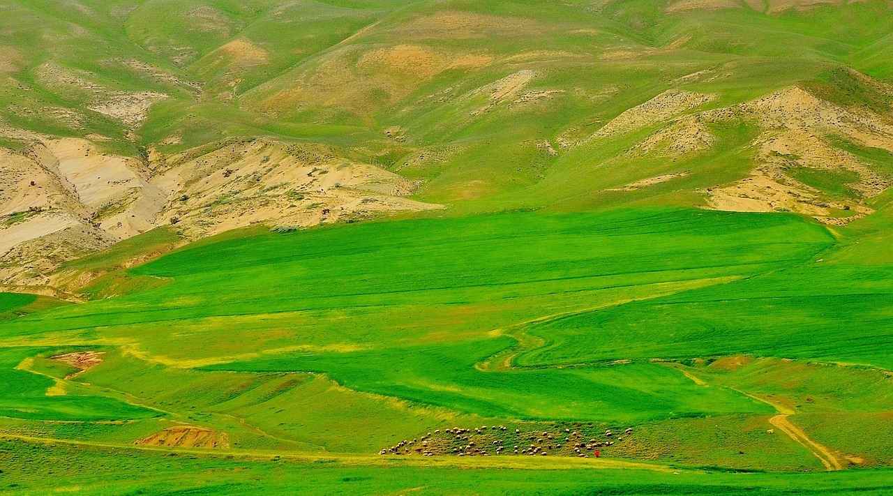 Danimarka’da Seyahatiniz İçin Bütçe Dostu İpuçları 6 Sonuç ve Genel Değerlendirme