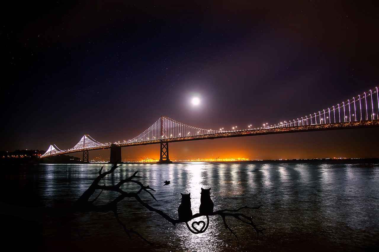 Danimarka’da Seyahatinizi Zenginleştirecek Festival ve Etkinlikler 5 Kültürel Etkinlikler ve Gelenekler