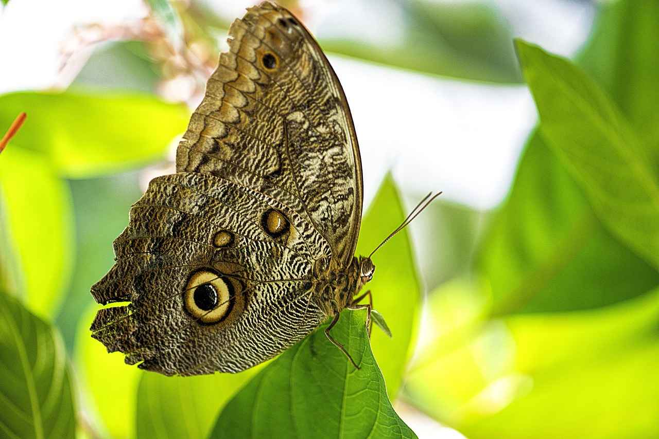 Danimarka'da Sosyal Yardım Programları
