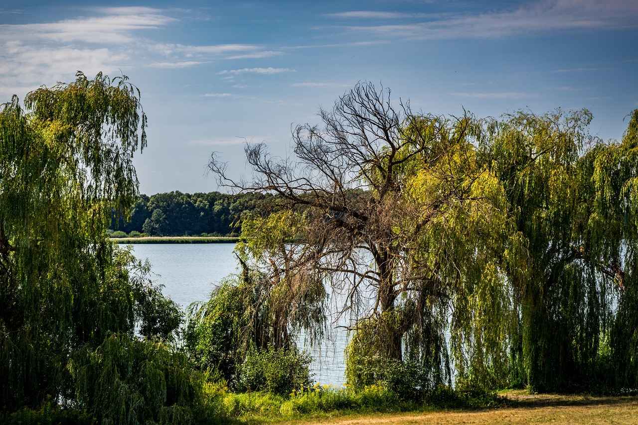 Festivaller ve Fuarlar