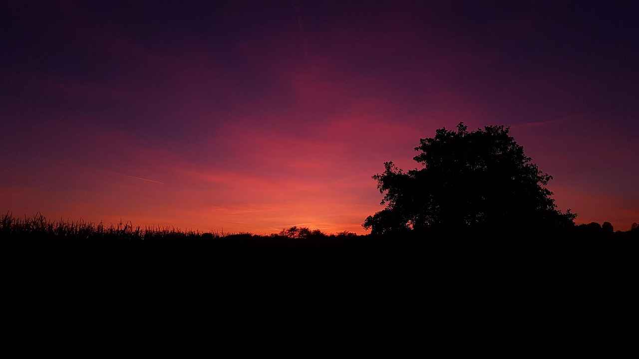 Danimarka’da Türkler İçin Ev Bulma ve Konaklama İpuçları 5 Danimarka’da Ev Bulma İpuçları