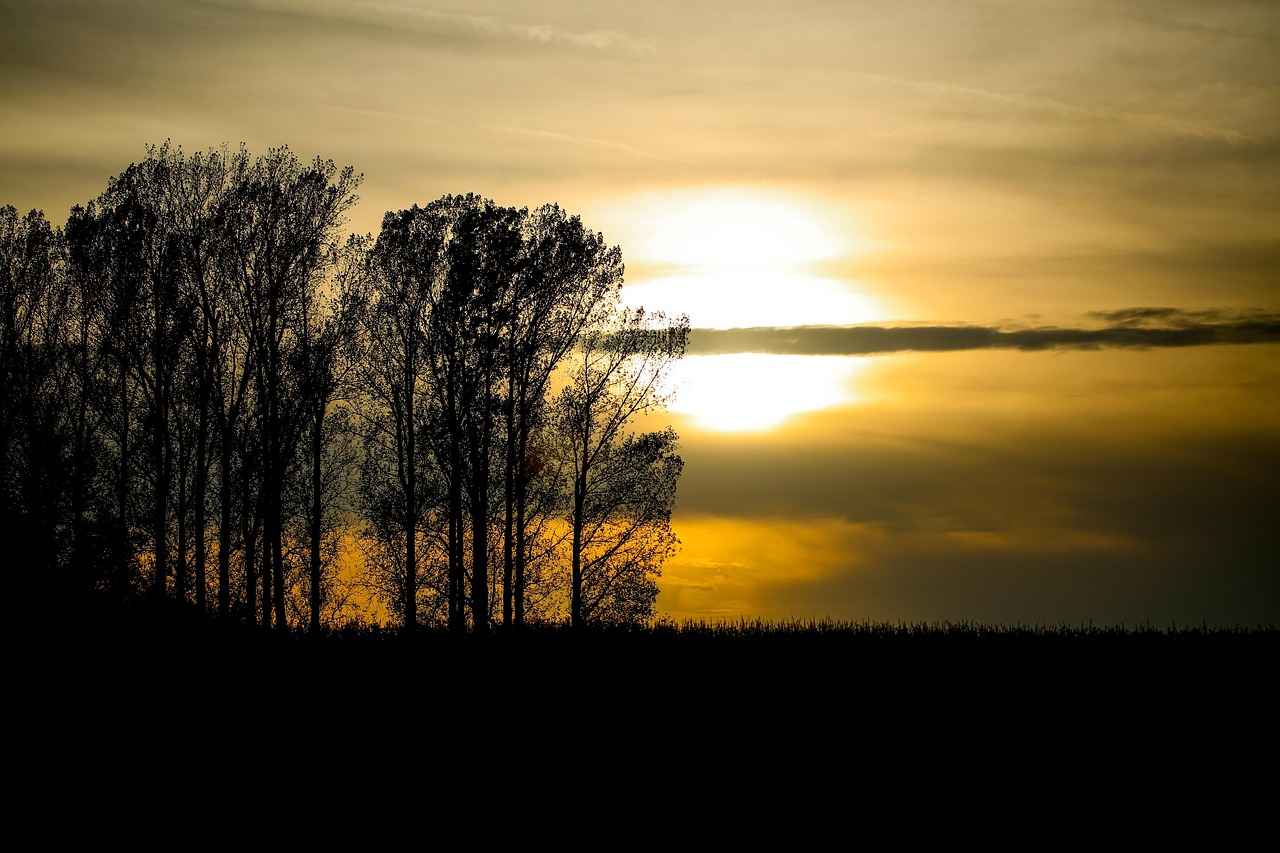 Danimarka’da Türkler İçin Ev Bulma ve Konaklama İpuçları 6 Sonuç ve Öneriler