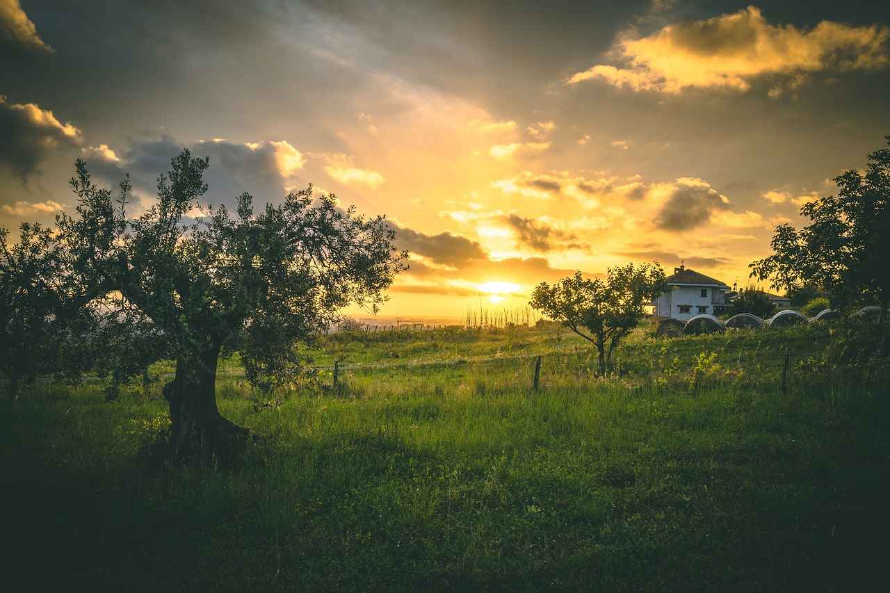 Danimarka’da Türkler İçin Ev Bulma ve Konaklama İpuçları 2 Ev Bulma Süreci