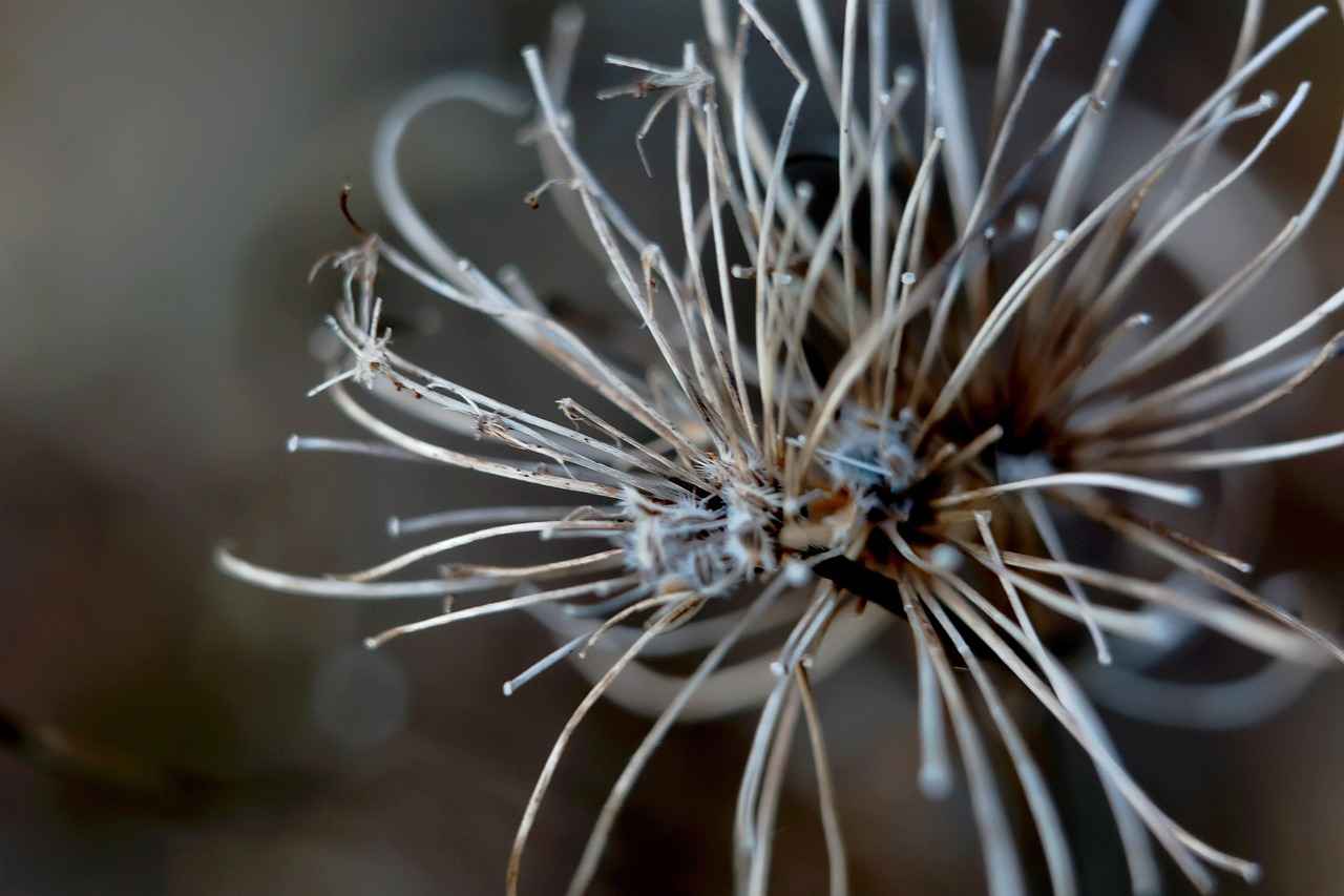 Danimarka’da Ulaşım Rehberi: Türkler İçin En Kolay Yollar 3 Bisiklet Kullanımı ve Kiralama Seçenekleri